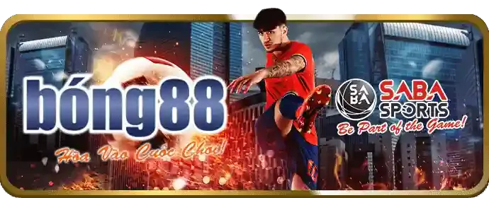 Cam kết của v999